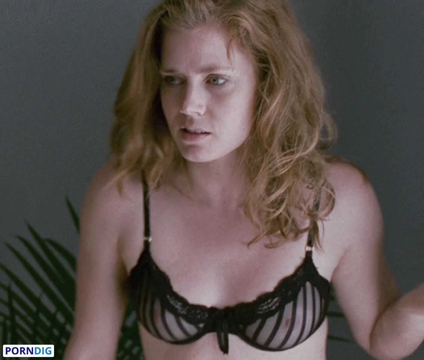 Amy Adams Nude Leaked Photo #3 - Porndig