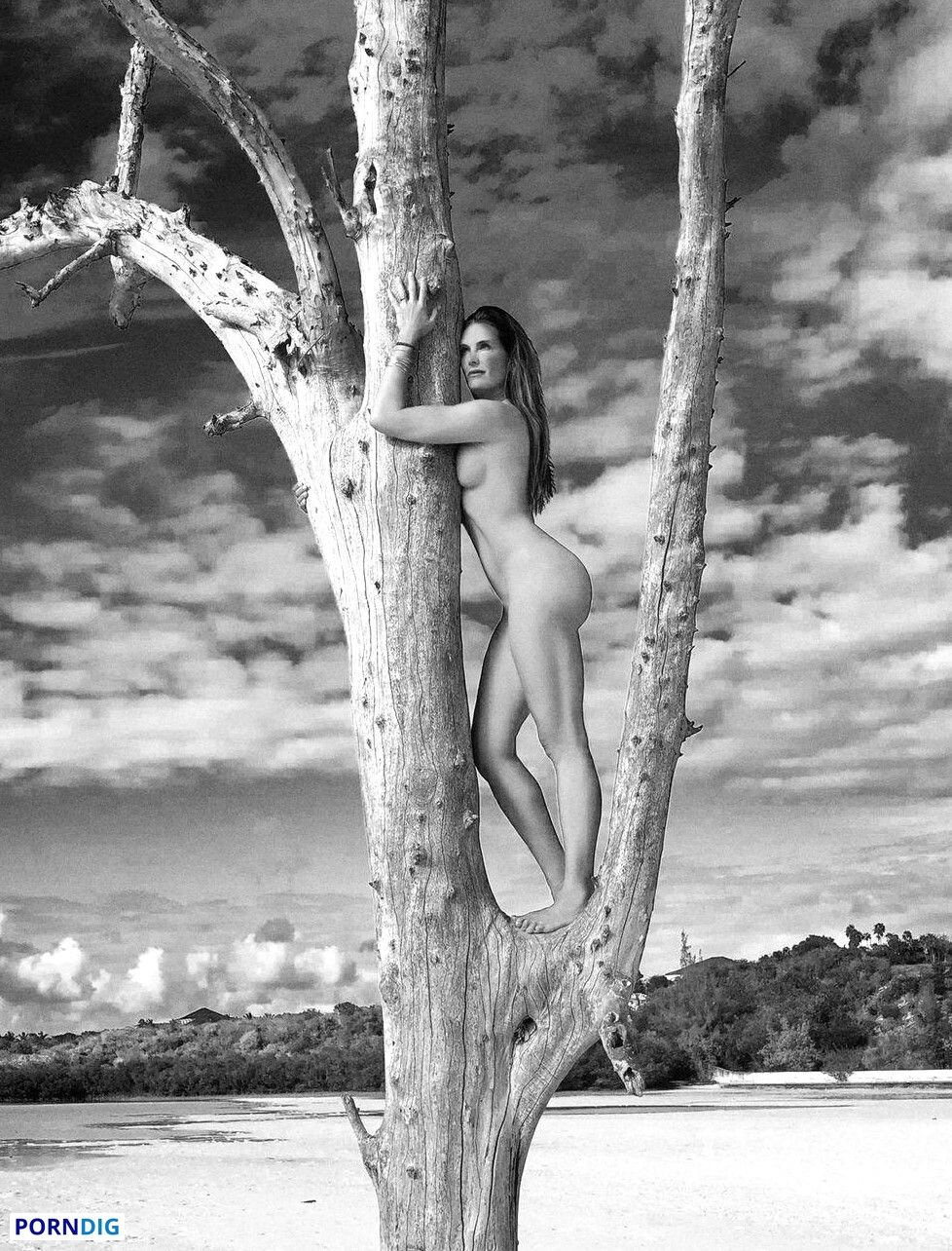 brooke shields nude photo 