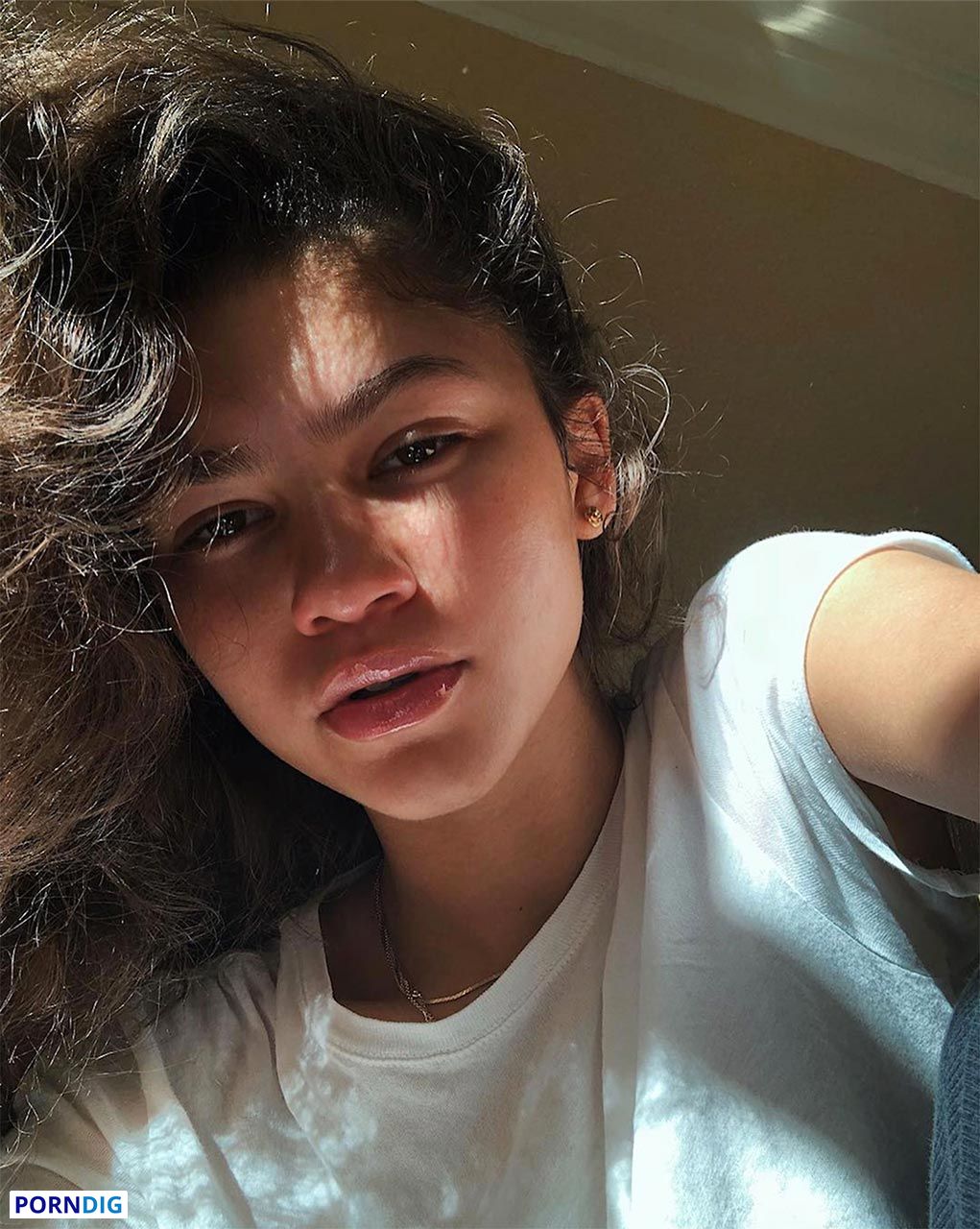 Zendaya Nude Leaked Photo #28 - Porndig